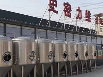 洮南精酿啤酒设备厂—如何判断精酿啤酒设备的密封件需要更换？